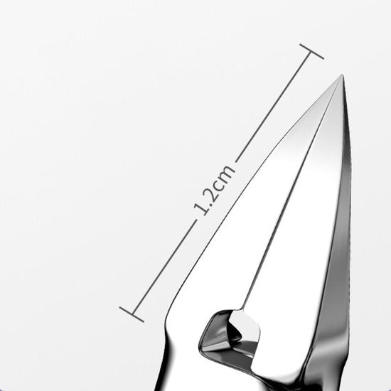 Close-up van scherp, glanzend metalen punt met afmeting van 1,2 cm weergegeven