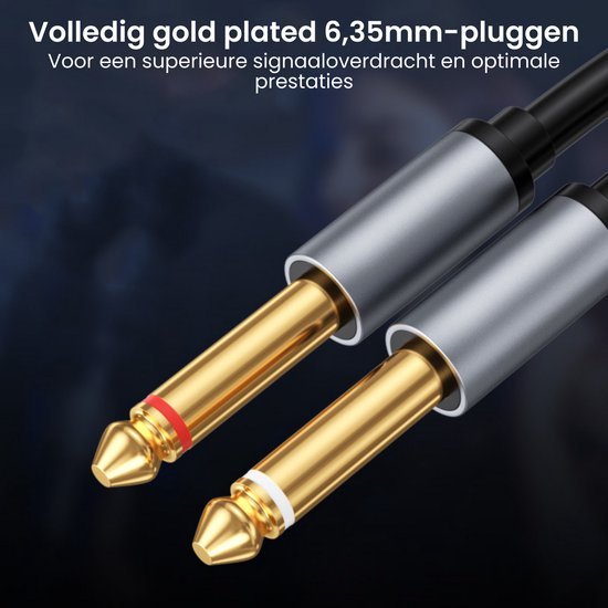 Close-up van twee goudkleurige 6,35mm audio pluggen met metalen behuizing voor signaaloverdracht
