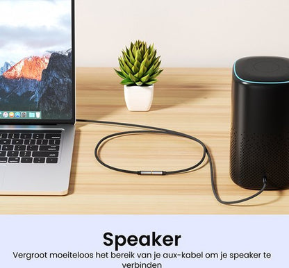 Zwarte draadloze speaker op bureau verbonden met laptop via kabel naast kleine groene plant