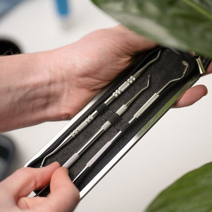 Handen houden een metalen etui met drie roestvrijstalen reinigingsinstrumenten voor tanden en tong.