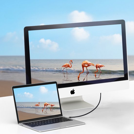 Twee computerschermen met dezelfde afbeelding van flamingo's bij de kust onder een blauwe lucht