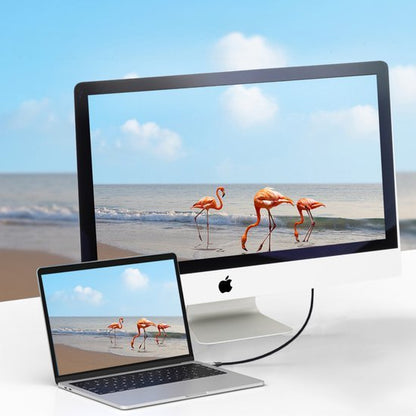 Twee computerschermen met dezelfde afbeelding van flamingo's bij de kust onder een blauwe lucht