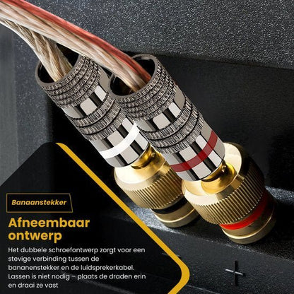 dichtbijbeeld van metalen banaanstekkers verbonden met luidsprekerkabels in een audioapparaat