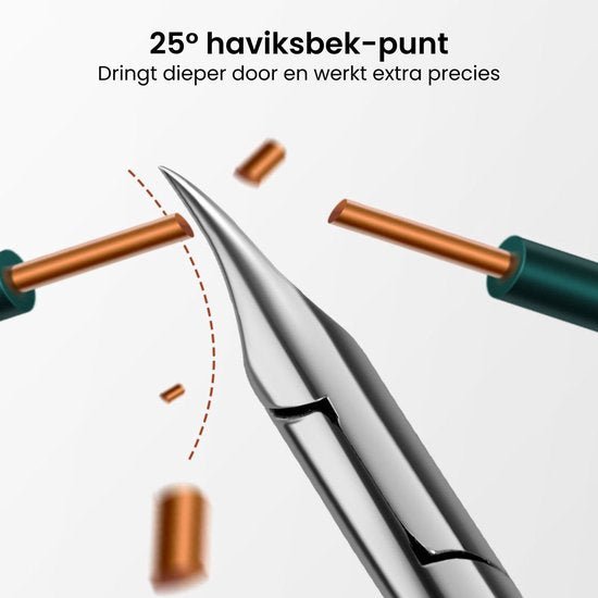 Close-up van een scherp 25 graden haviksbek-punt voor nauwkeurig en diep werk