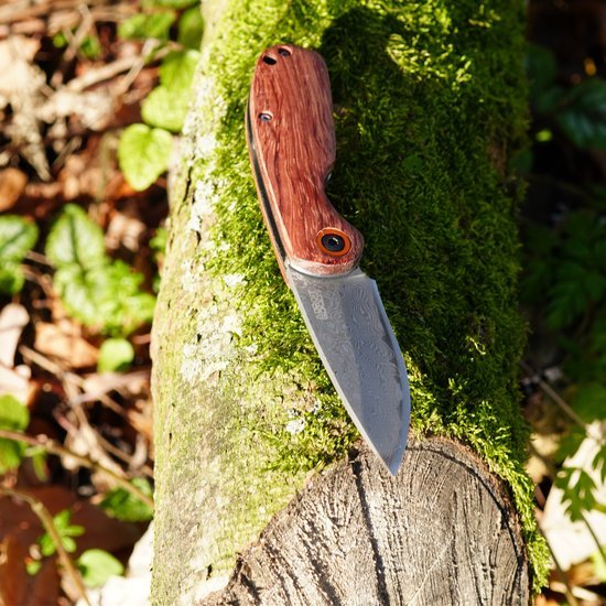 Op het mos bedekte hout ligt een mes met een houten handvat en een stalen lemmet.