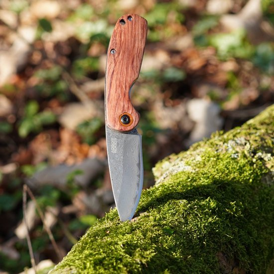 Vouwmes met houten handvat en stalen lemmet geplaatst in mosrijke boomstam buiten in natuuromgeving