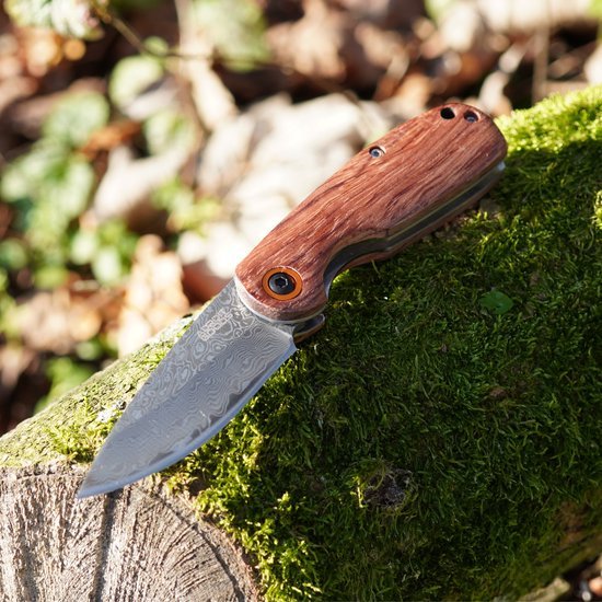 Vouwmes met gedecoreerd lemmet en houten handgreep ligt op met mos bedekt houtblok in de natuur