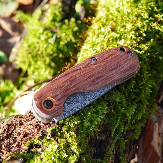 Gesloten zakmes met houten handvat en geëtst lemmet op mosgroen bosgrond