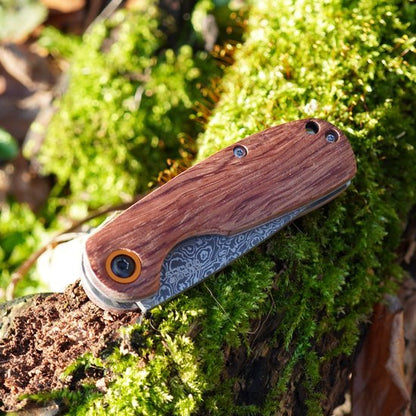 Gesloten zakmes met houten handvat en geëtst lemmet op mosgroen bosgrond