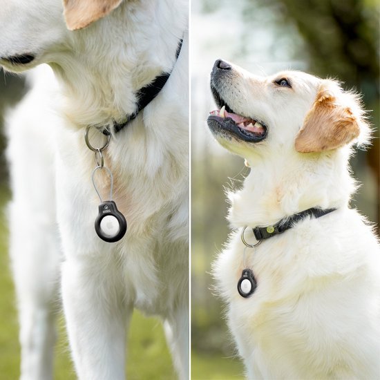 Witte hond met zwarte halsband en een rond zwart apparaatje eraan hangend in buitenomgeving