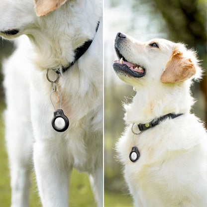 Witte hond met zwarte halsband en een rond zwart apparaatje eraan hangend in buitenomgeving