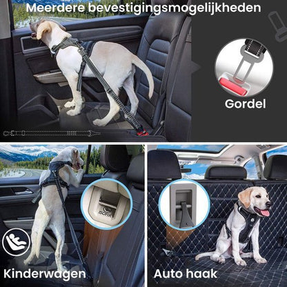 Labrador in auto met riem beveiligd via gordel, kinderwagen en haak bevestigingen