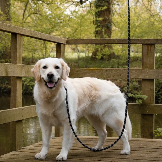 Witte hond met zwarte riem staat op houten steiger bij water en groene bomen op achtergrond
