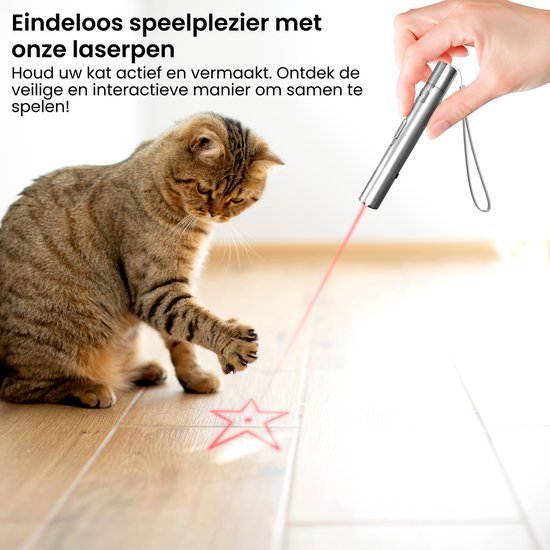 Kat speelt met rood laserlicht op houten vloer, hand houdt zilveren laserpen vast