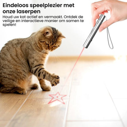 Kat speelt met rood laserlicht op houten vloer, hand houdt zilveren laserpen vast