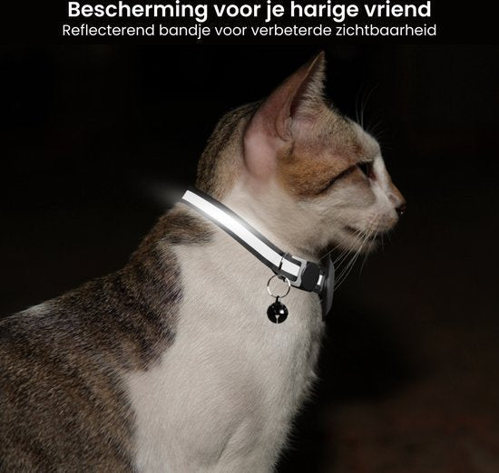 Kat met reflecterende halsband en bel voor betere zichtbaarheid in het donker