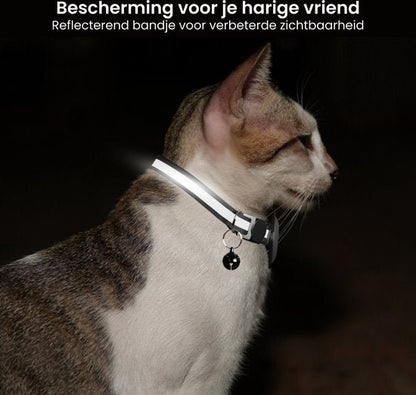 Kat met reflecterende halsband en bel voor betere zichtbaarheid in het donker