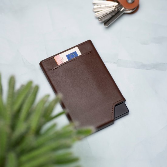 Bruine leren portemonnee met een bankbiljet en sleutels op een lichte ondergrond naast een plant