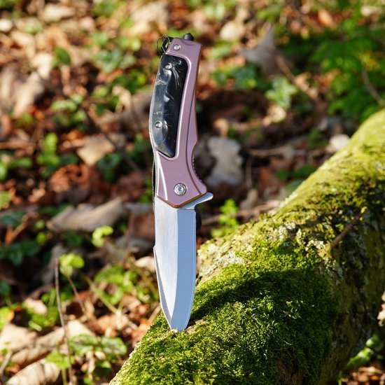 Opgevouwen zakmes met metaalglans handvat steekt in met mos bedekt boomstam in bosrijke omgeving