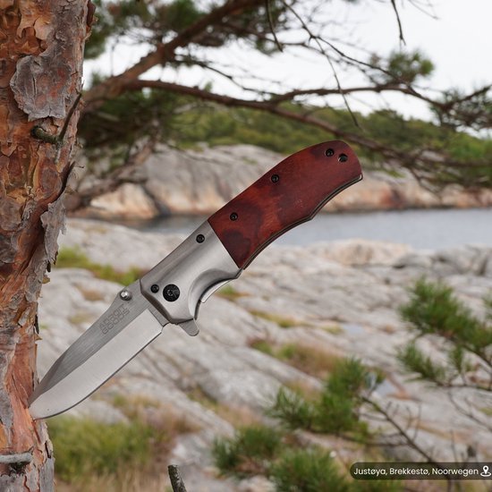 Opvouwbaar mes met houten handvat geplaatst in boom met rotsachtige kust op achtergrond