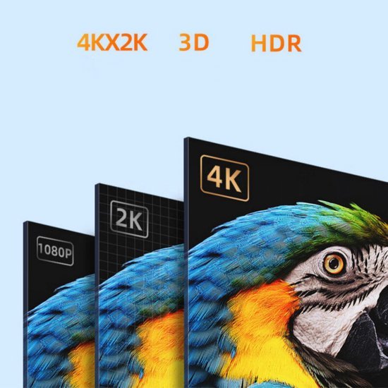 Drie schermen naast elkaar met verschillende resoluties en een kleurrijke papegaai in 4K kwaliteit.