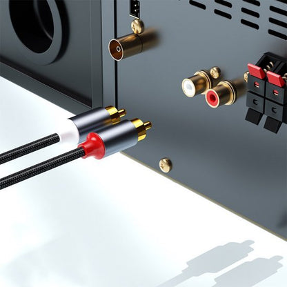 Zwarte audiokabels met rode en witte stekkers aangesloten op achterzijde apparaat in detail.