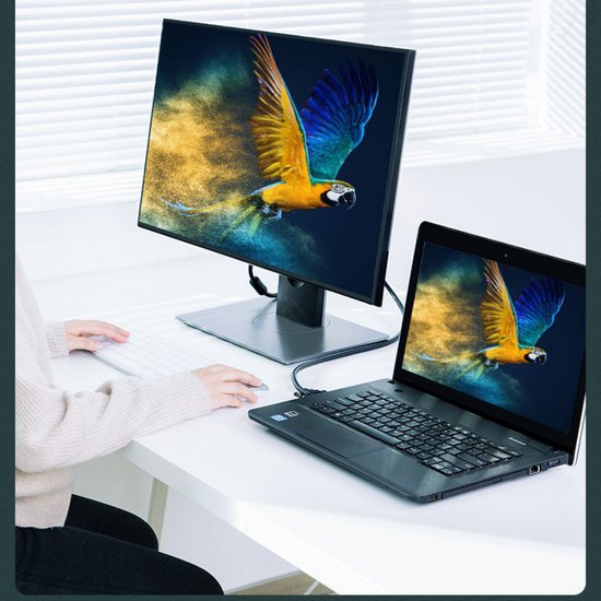 Een persoon werkt aan een laptop met een extra scherm dat een kleurrijke papegaai toont.