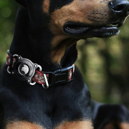 Close-up van een zwarte hond met een robuuste halsband en een klein rond apparaat eraan bevestigd.