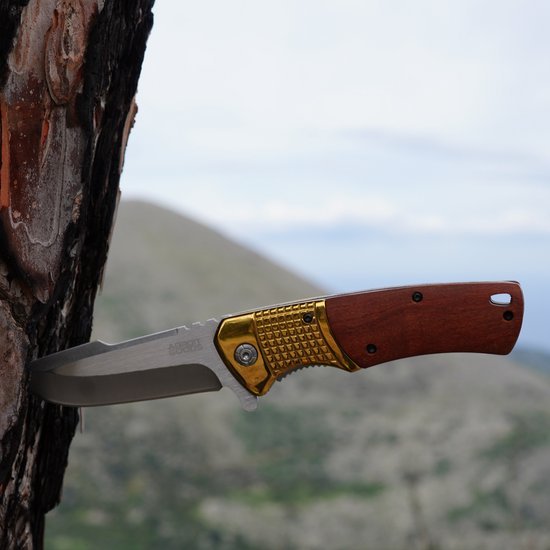 Zakmes met houten handvat en metalen lemmet gestoken in een boomstam buiten in de natuur